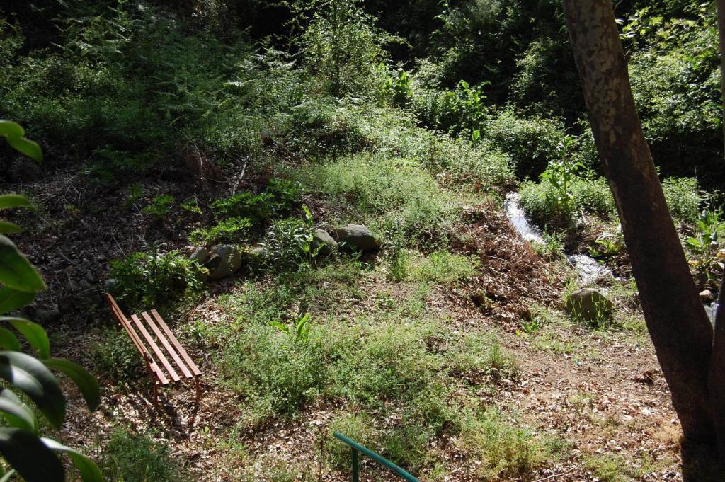 Hotel Nightingale Platres Zewnętrze zdjęcie